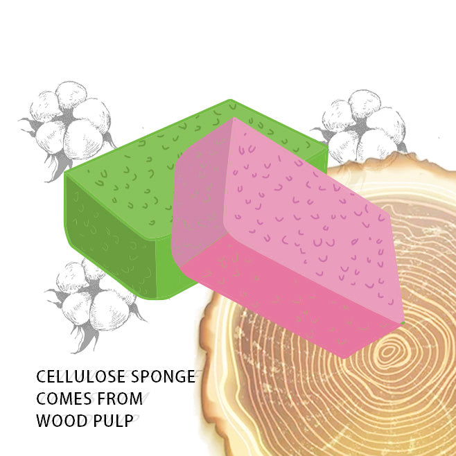 Cleaning Cellulose Sponges