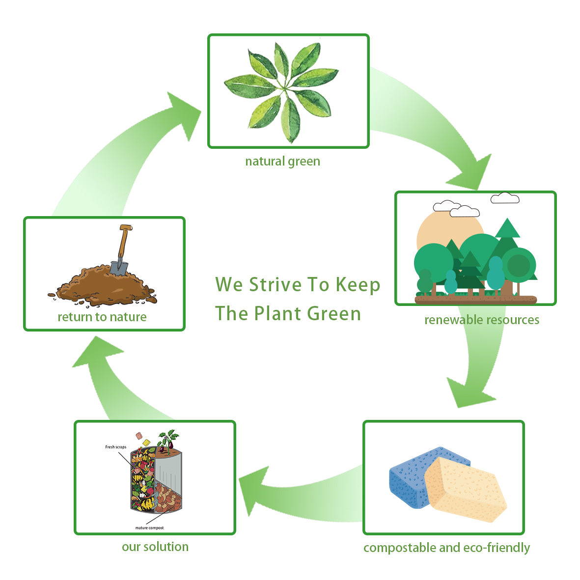 Cleaning Cellulose Sponges