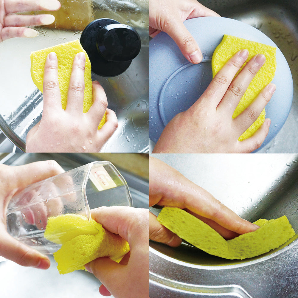 Cleaning Cellulose Sponges